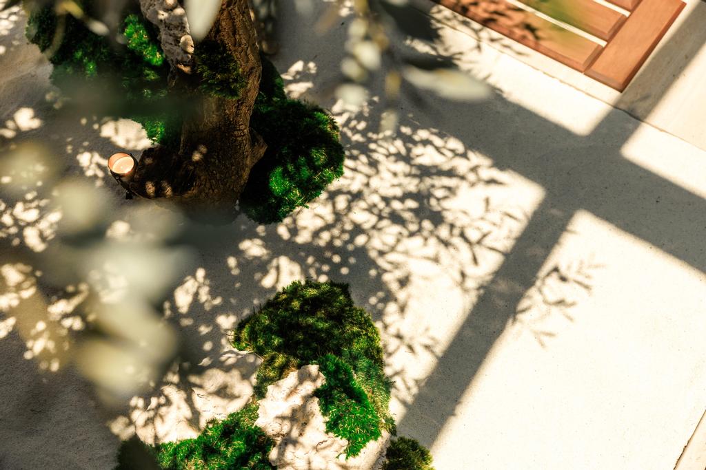 Zen Garden